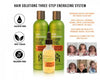 Hair Solutions - Hair Growth Energizing System | Peter Lamas